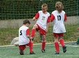 euro mini 2012 th