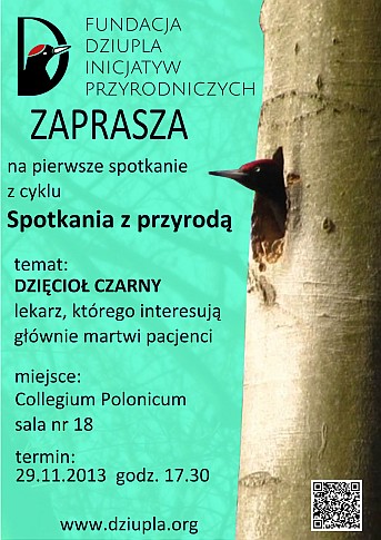 dziupla-plakat