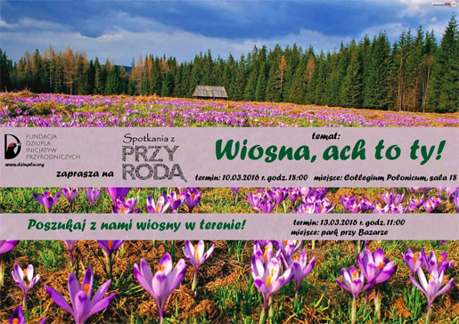 wiosenna dziupla