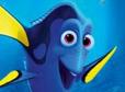 dory th