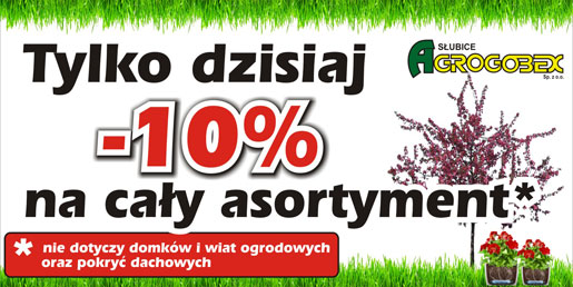 promocja weekend