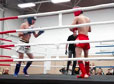 muay thai_rostock