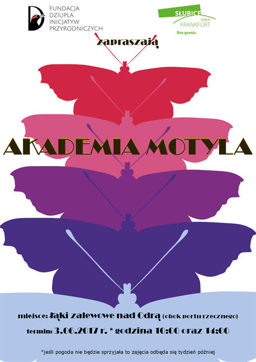 akademia motyla