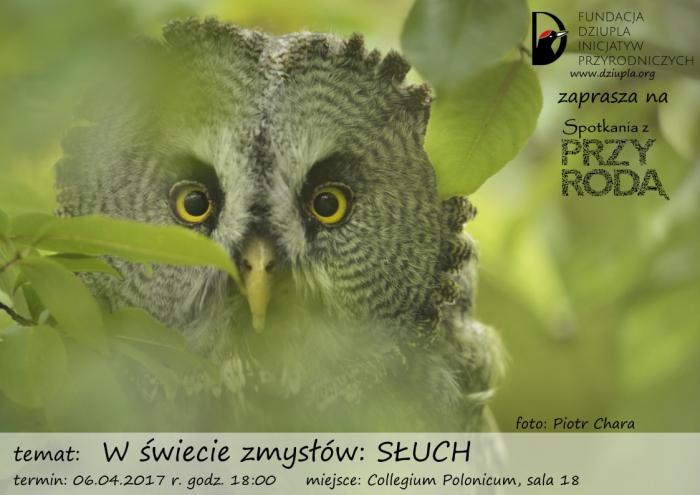 sluch przyroda