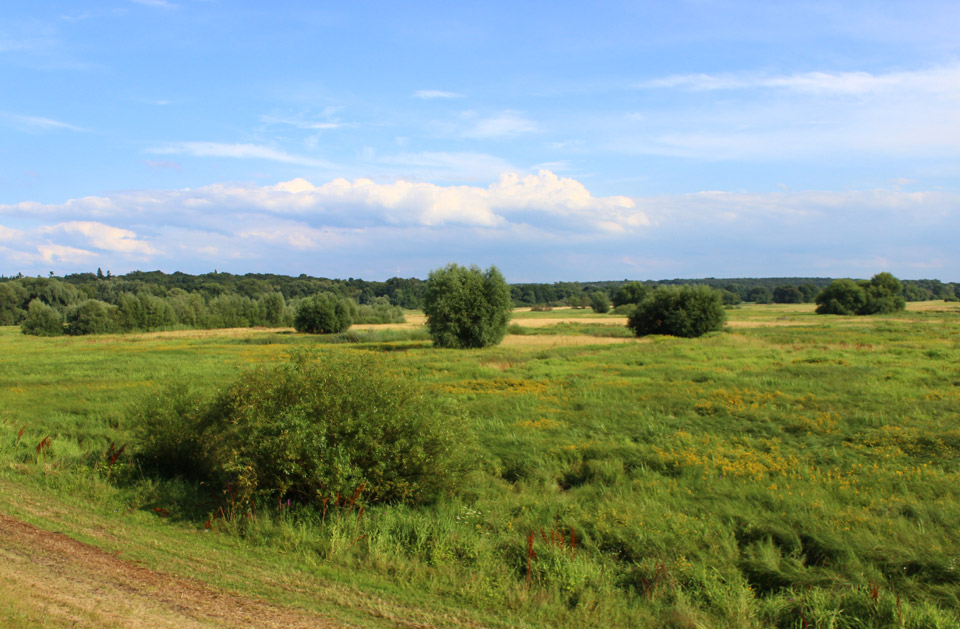 laki Odra