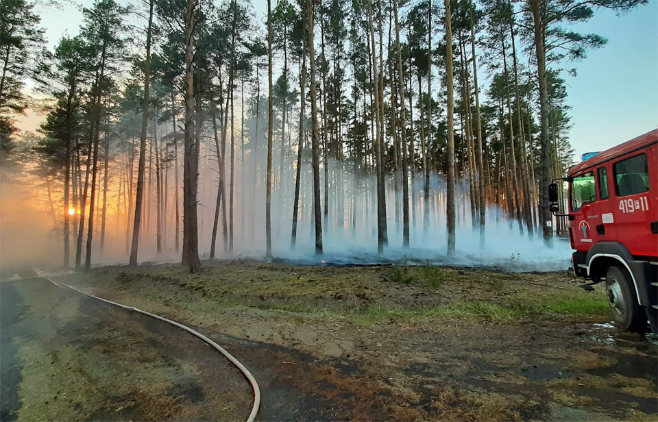 Pożar lasu