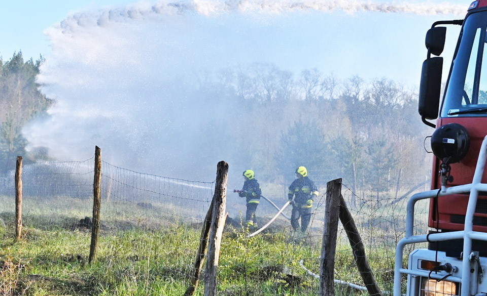 Pożar lasu