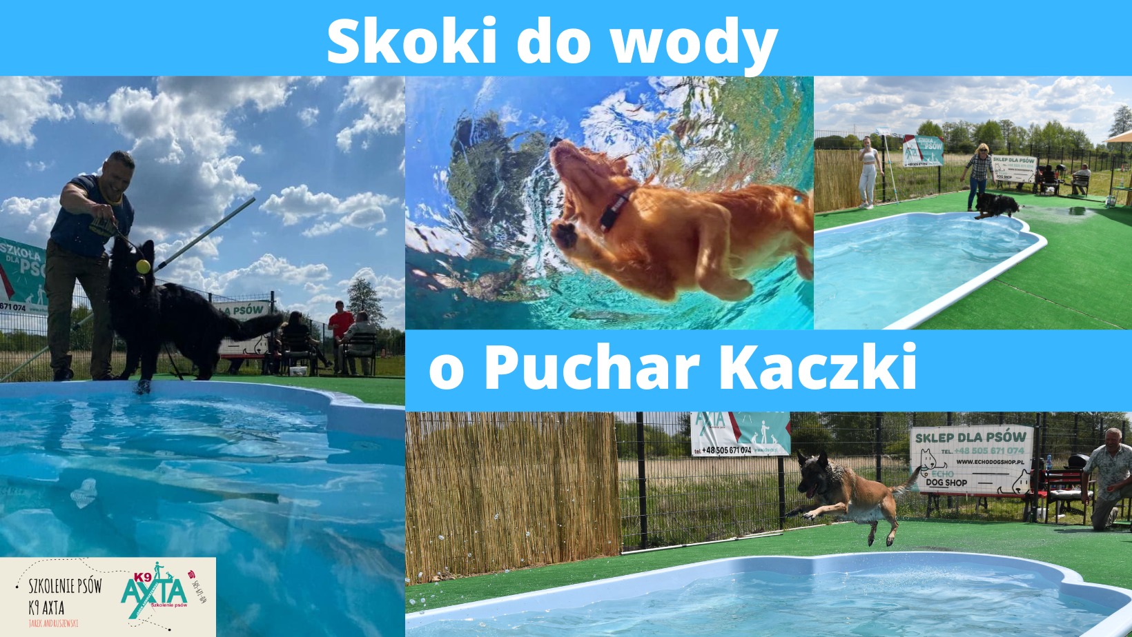 Puchar Kaczki