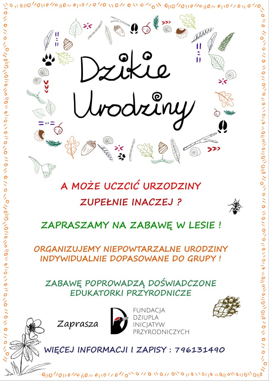 dzikie urodziny 006