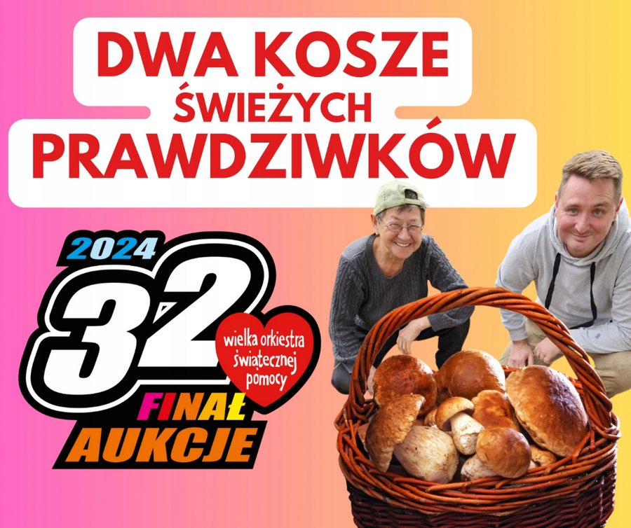 grzybki WOŚP