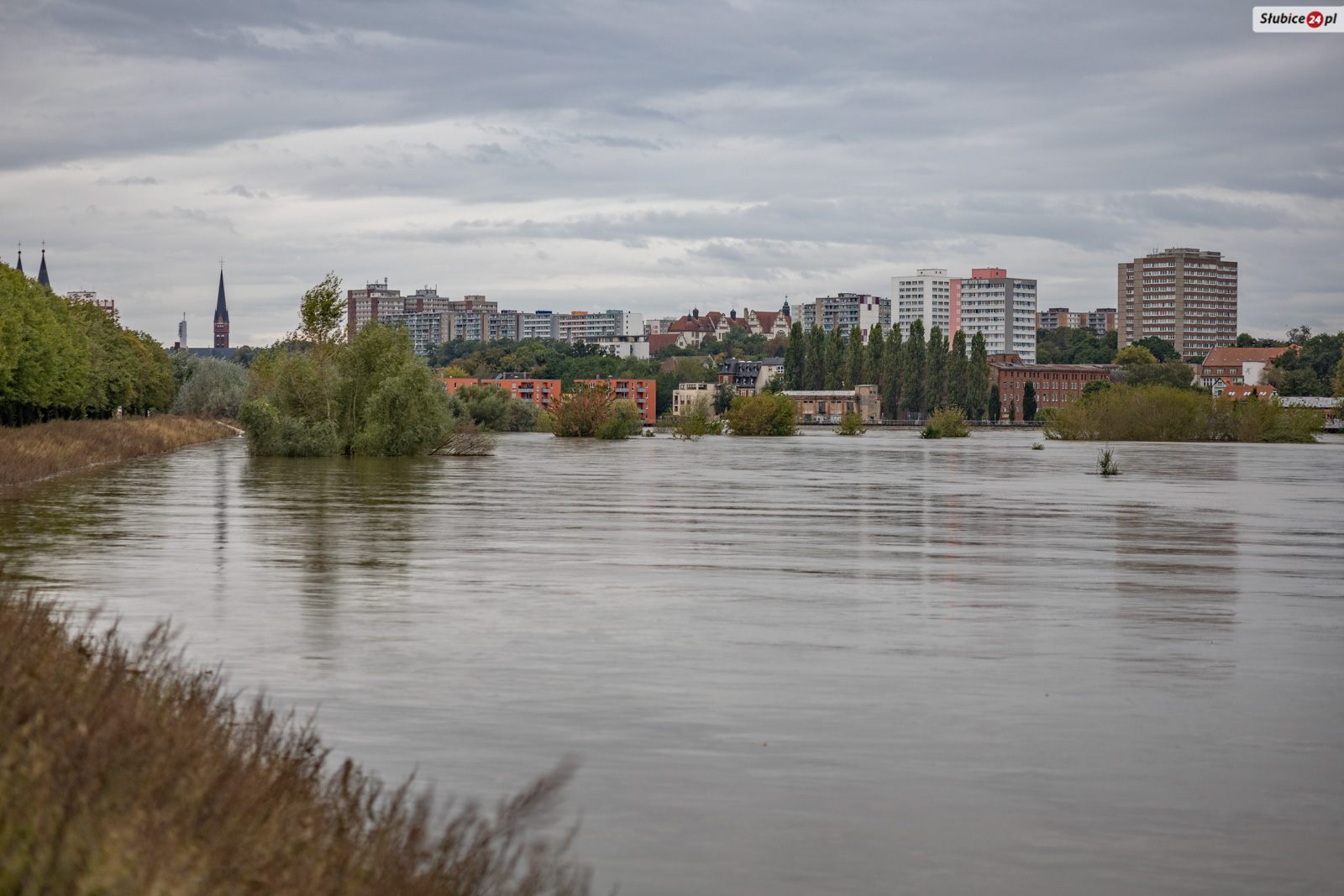 Odra w Słubicach